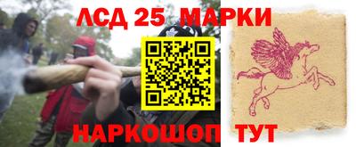 стаф Донской