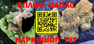 МДПВ Донецк