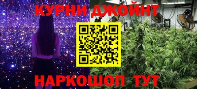 стаф Донской