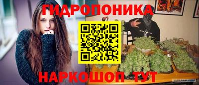 стаф Донской