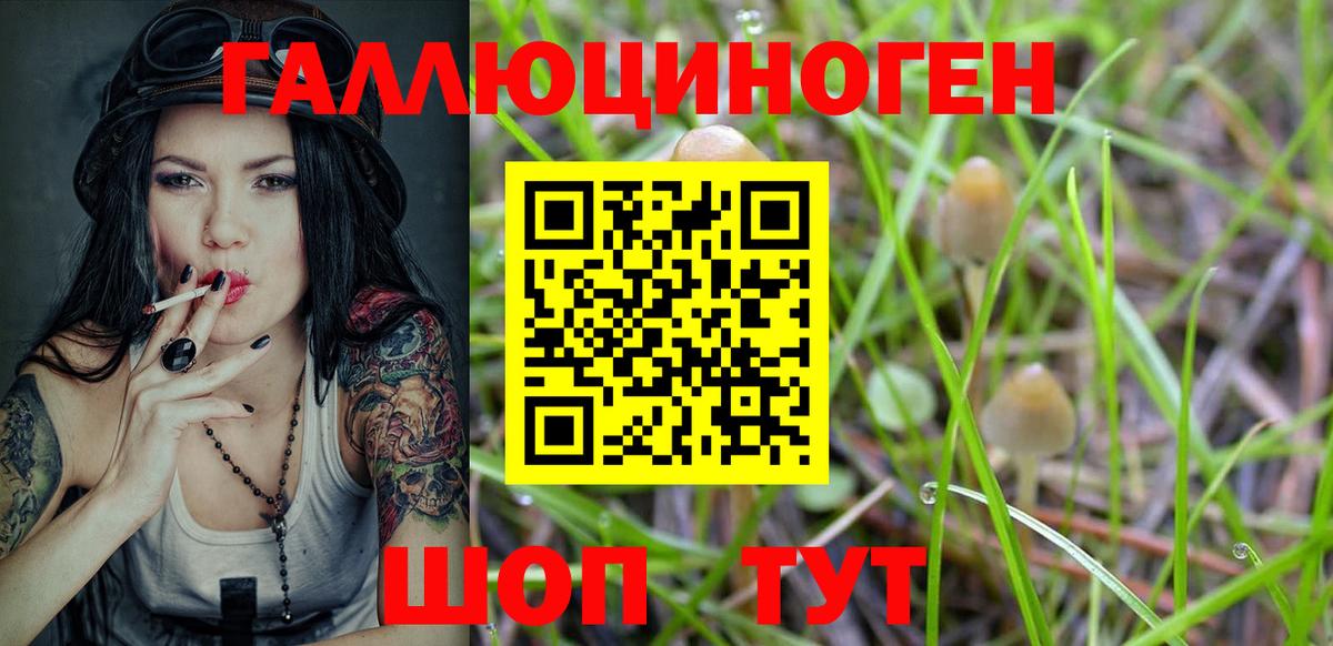 Галлюциногенные грибы GOLDEN TEACHER Мытищи